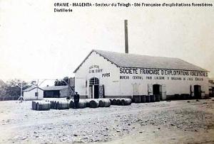 MAGENTA - SOCIETE FORESTIERE - DISTILLERIE